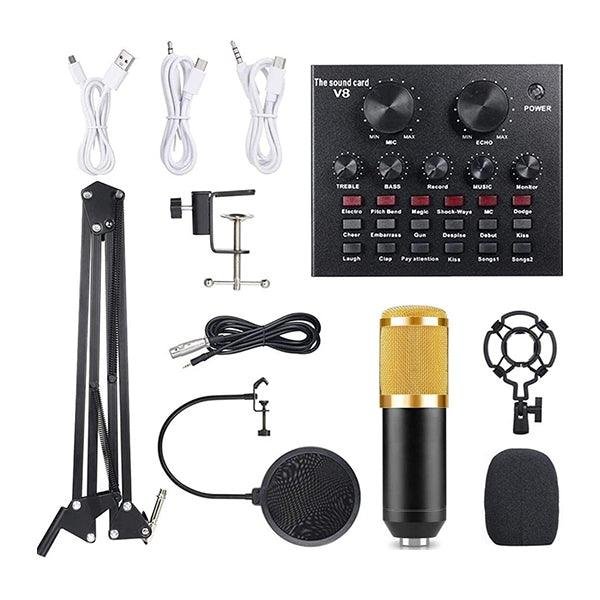 Legendary Vocal Condenser Microphone
